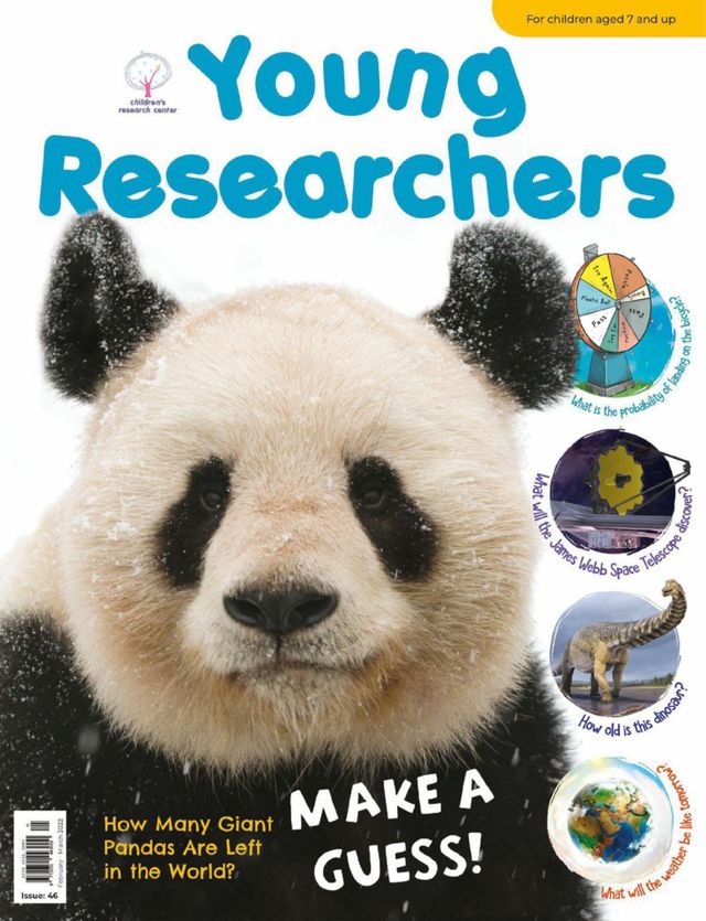 Young Researchers