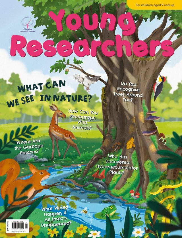 Young Researchers
