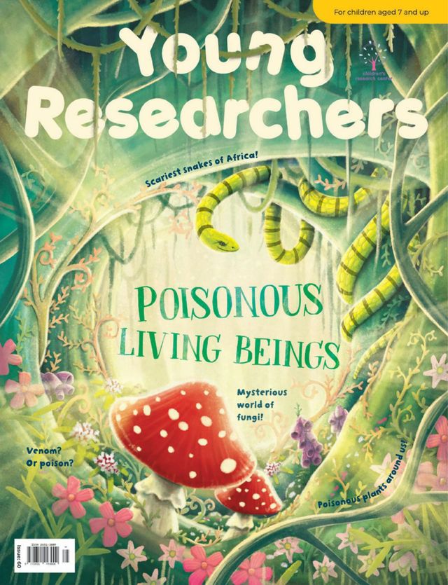 Young Researchers