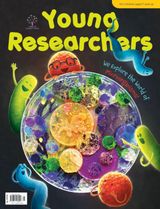 Young Researchers