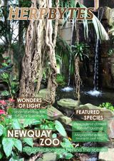Issue 01 - January 2019