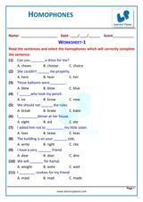 Homophones-Parts of Speech-Workbook