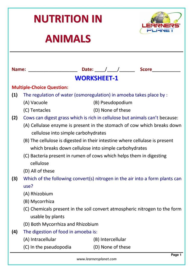 Nutrition in Animals