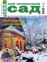Февраль 2019