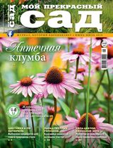 ИЮНЬ - ИЮЛЬ 2019