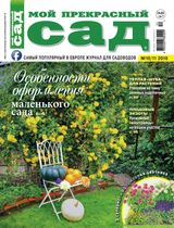Октябрь-Ноябрь 2019
