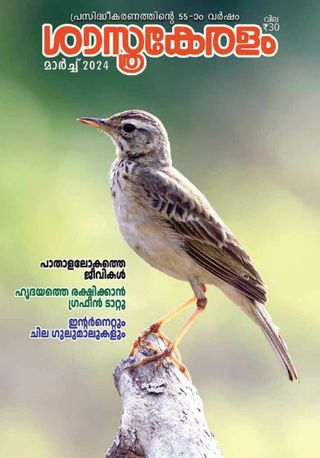 Sasthrakeralam