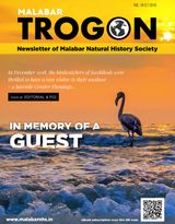 Vol. 16(2) 2018