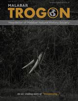 Vol. 16(3) 2018