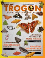 Malabar Trogon  Cover - Vol. 18(1) 2020 Edition
