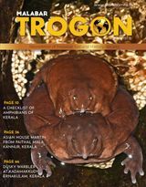 Malabar Trogon  Cover - Vol. 19 1-2 Edition