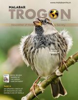 Malabar Trogon  Cover - January - April 2022 Edition