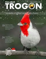 Malabar Trogon  Cover - Volume 21 Issue 03 Edition