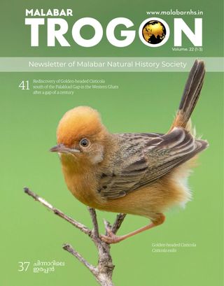 Malabar Trogon  Cover - JAN - DEC 2025 Edition