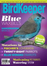 Volume 31 Issue 6 - December 2018/January 2019