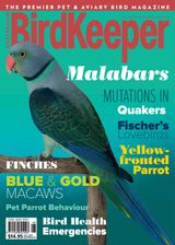 Volume 32 Issue 8