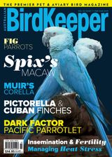 Volume  32 Issue 7 February - March 2019
