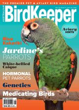 Volume 32 Issue 9