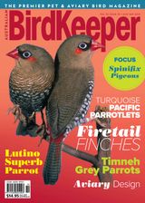 Volume 32 Issue 10