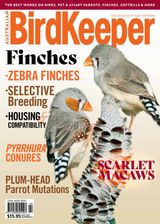 Volume 33 Issue 4