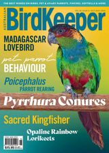 Volume 33 Issue 5
