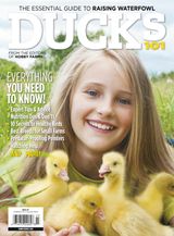 Ducks 101 2020
