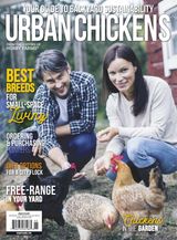 Urban-Chickens 2020