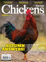 Chickens