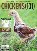 Chickens 101 2026