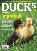 Ducks 101 2026