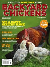 Chickens