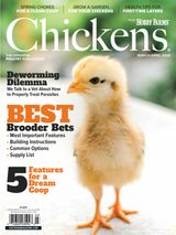 Chickens