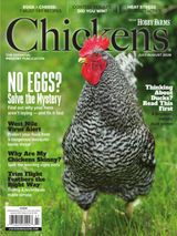 Chickens