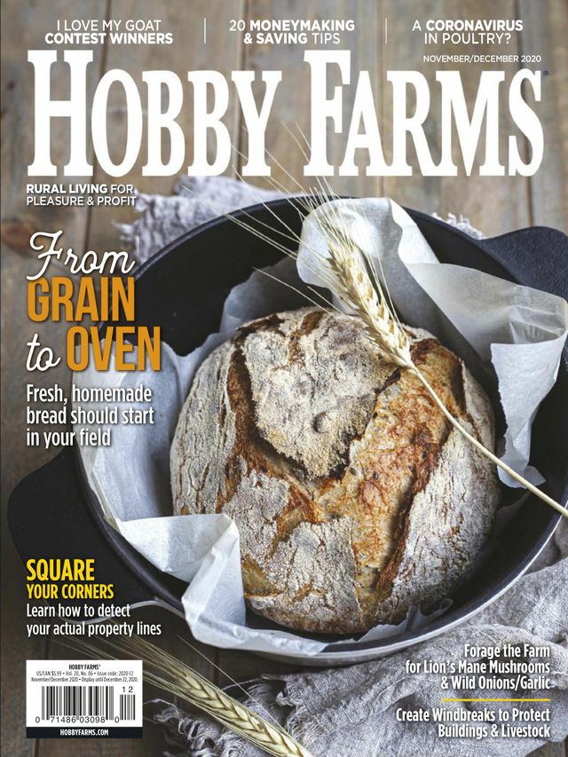 Hobby Farms