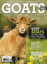 Goat-101-24