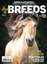 Best Of Breeds Vol 5