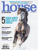 Horse Illustrated