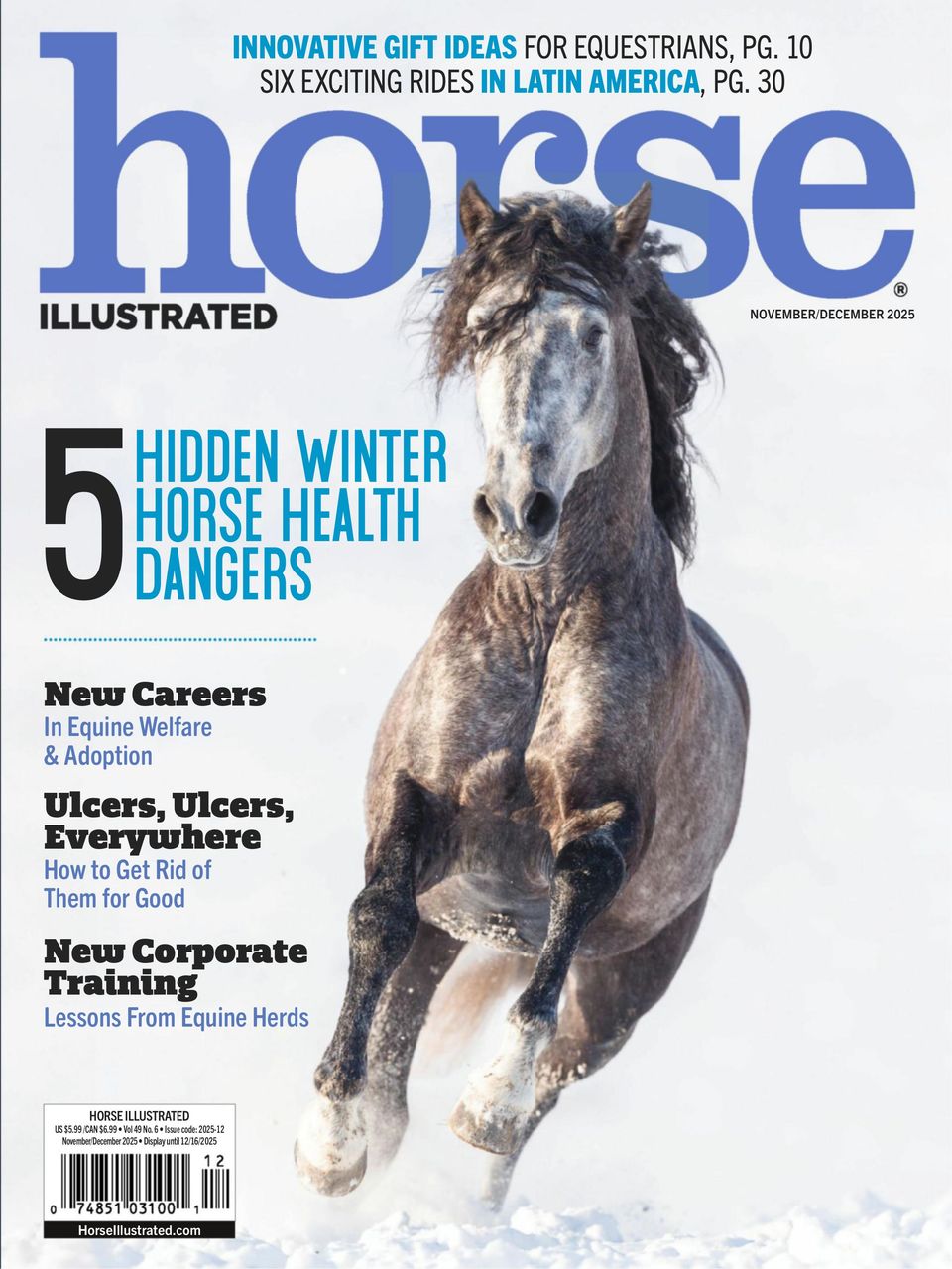 Horse Illustrated