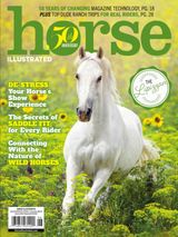 Horse Illustrated