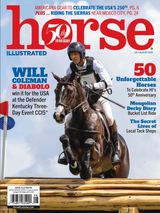 Horse Illustrated