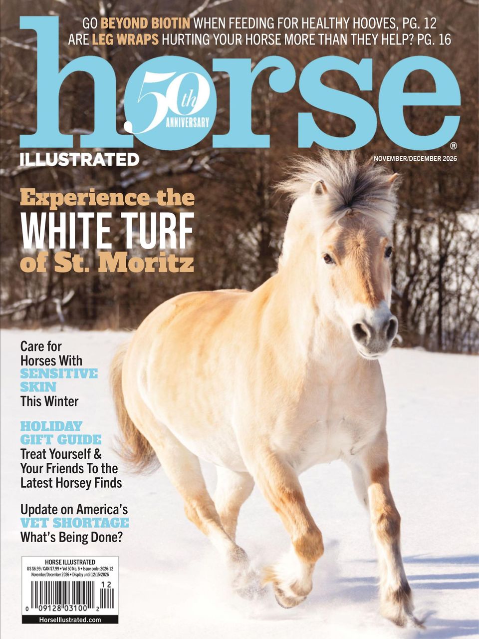 Horse Illustrated