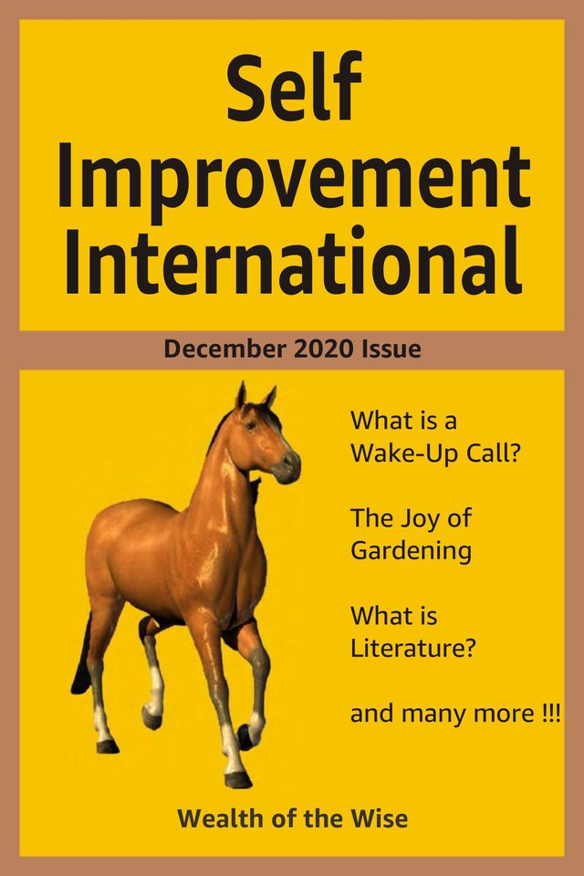 Self Improvement International
