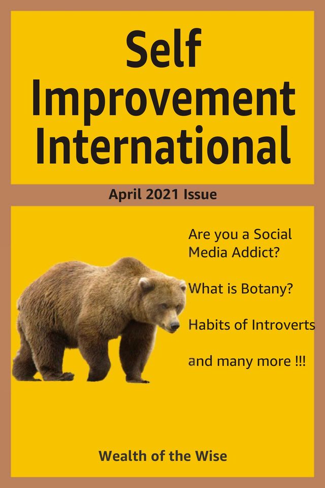 Self Improvement International