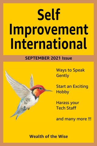 Self Improvement International