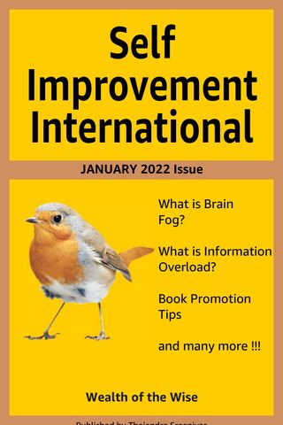 Self Improvement International