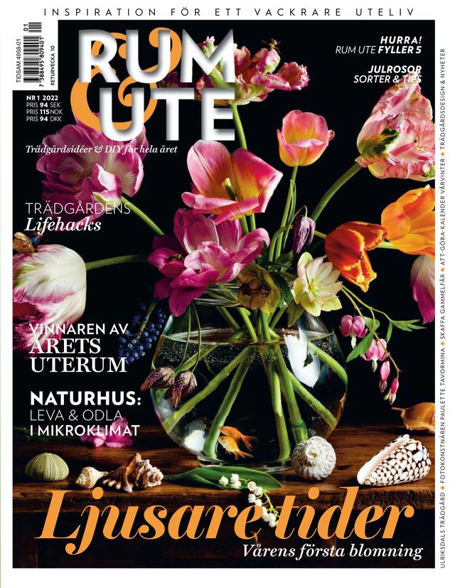 Vuélvete ilimitado con Magzter GOLD