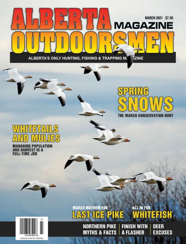 Alberta Outdoors