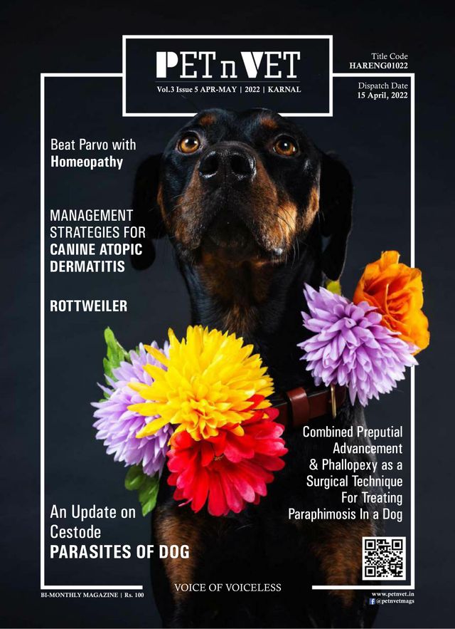 PETnVET