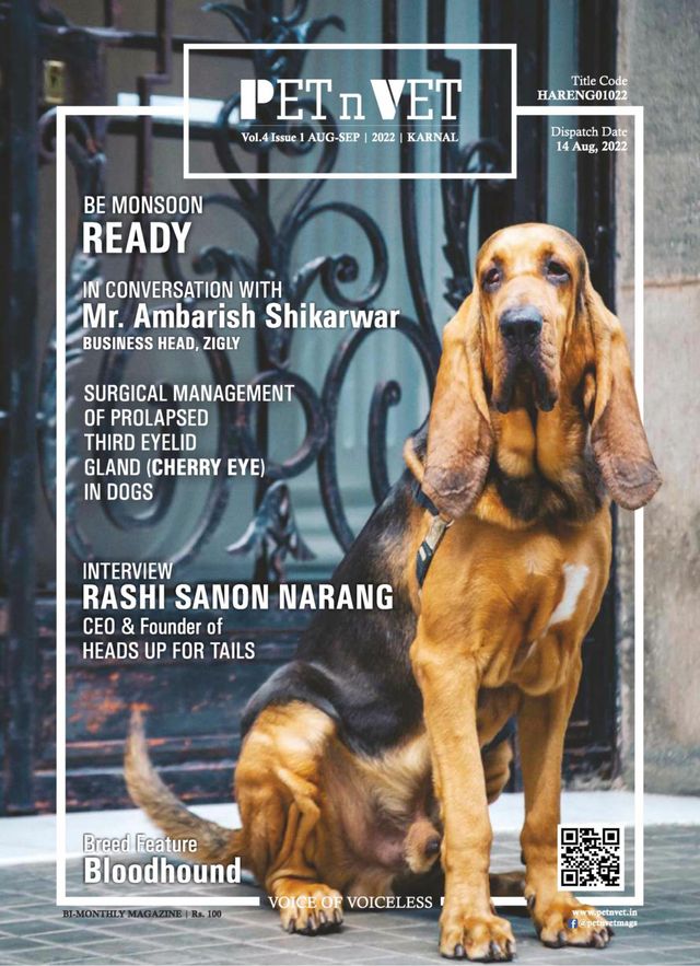 Gå ubegrenset med Magzter GOLD