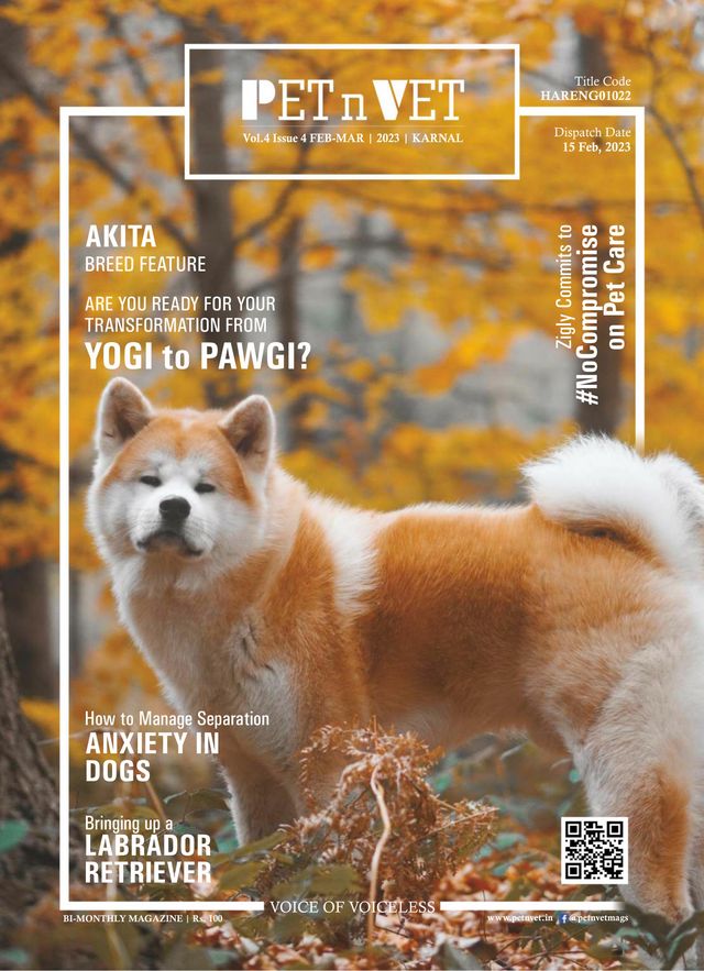 PETnVET